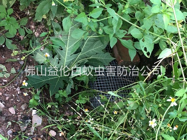 南海住宅区处理蛇患工程
